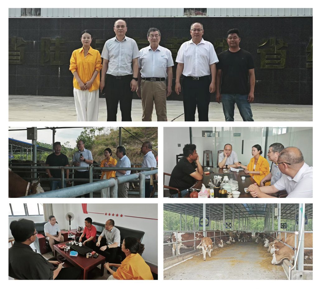 BB电子游戏·(中国)官方官网