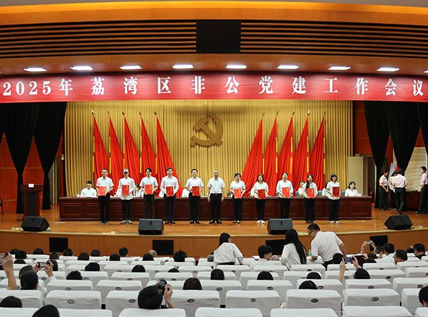 集团党支部荣获荔湾区“红荔金点团”优良团队