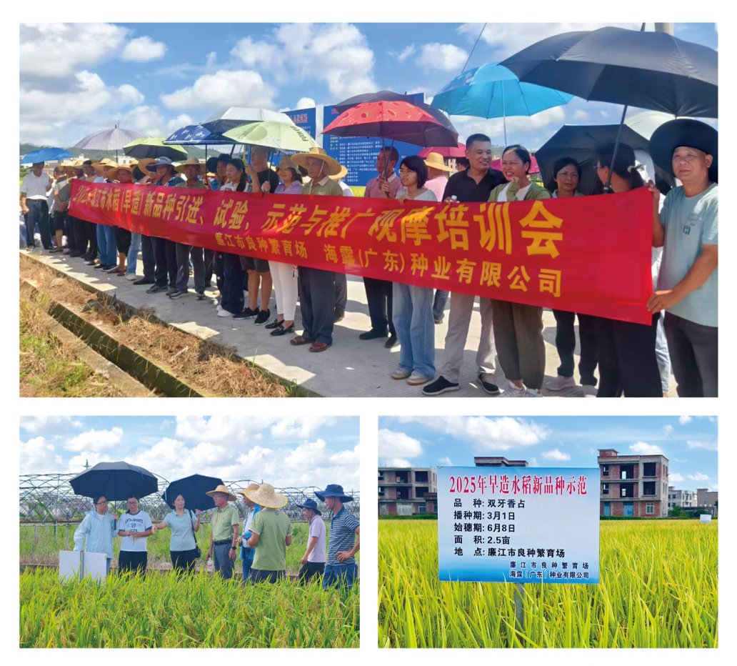 BB电子游戏·(中国)官方官网