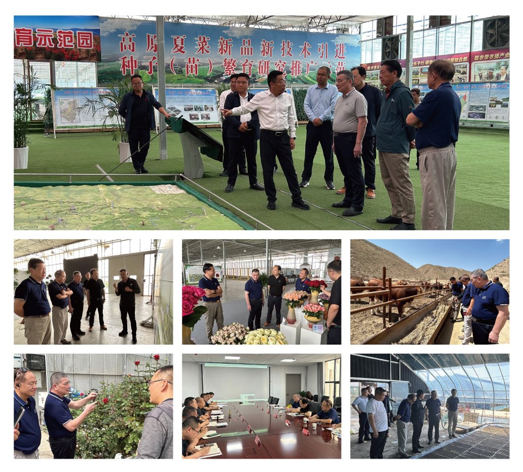 BB电子游戏·(中国)官方官网