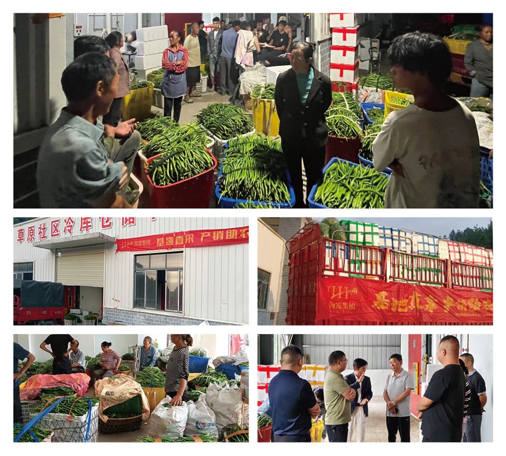 BB电子游戏·(中国)官方官网