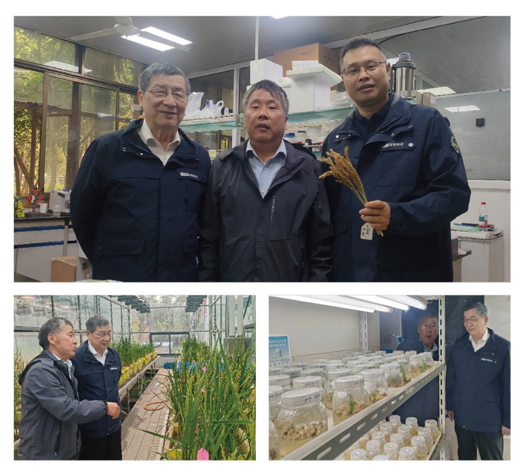 BB电子游戏·(中国)官方官网